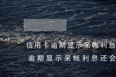 信用卡逾期显示呆帐利息还会涨吗-信用卡逾期显示呆帐利息还会涨吗是真的吗