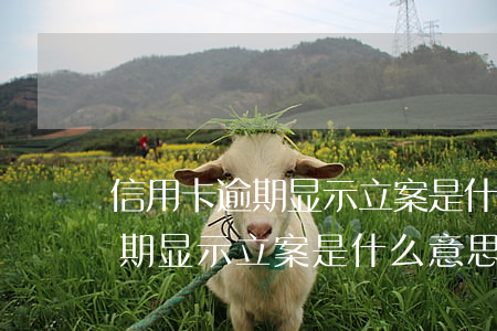 信用卡逾期显示立案是什么意思-信用卡逾期显示立案是什么意思啊