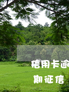 信用卡逾期時(shí)間上征信(信用卡 逾期 征信)