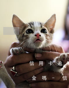 信用卡逾期時(shí)間久了可以只還本金嗎-信用卡逾期時(shí)間久了可以只還本金嗎