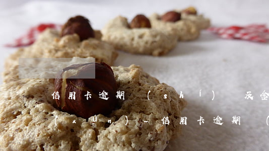 信用卡逾期時(shí)間及金額怎么查詢(xún)-信用卡逾期時(shí)間及金額怎么查詢(xún)的