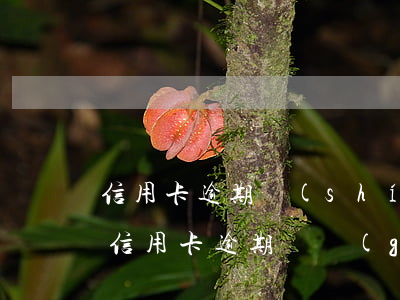信用卡逾期時(shí)間多長才被封卡(欠信用卡逾期幾個(gè)月會(huì)立案)