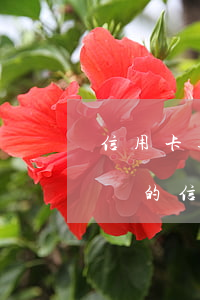 信用卡逾期時(shí)間太長不能還款(你們的信用卡最長逾期過多久)