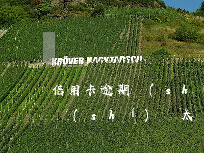 信用卡逾期 時(shí)間太長(信用卡逾期時(shí)間太長被停用 還可以恢復(fù)嗎)