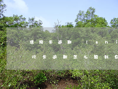信用卡逾期時(shí)間怎么算利息-銀行卡逾期怎么算利息