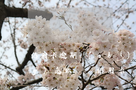 信用卡逾期時(shí)間過長(zhǎng)怎么還(還信用卡過幾天算逾期)