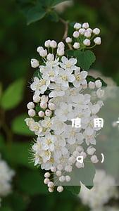 信用卡逾期時(shí)間過長(zhǎng)有什么樣的后果-信用卡逾期時(shí)間過長(zhǎng)有什么樣的后果呢
