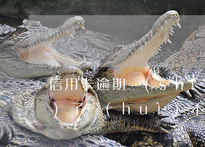 信用卡逾期時(shí)間長(zhǎng)了會(huì)不會(huì)坐牢-信用卡逾期時(shí)間長(zhǎng)了會(huì)不會(huì)坐牢呢