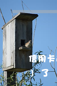 信用卡逾期時(shí)間長(zhǎng)了還清可以用嗎-信用卡逾期時(shí)間長(zhǎng)了還清可以用嗎