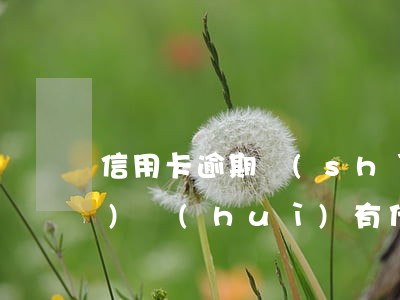 信用卡逾期時(shí)間長(zhǎng)會(huì)有什么后果-信用卡逾期時(shí)間長(zhǎng)會(huì)有什么后果嗎