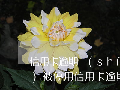 信用卡逾期時(shí)間長(zhǎng)被停用(信用卡逾期時(shí)間長(zhǎng)被停用)
