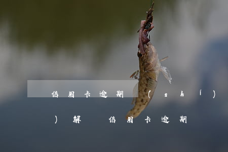 信用卡逾期時(shí)間長(zhǎng)解凍(信用卡逾期凍結(jié)了可以解凍嗎)