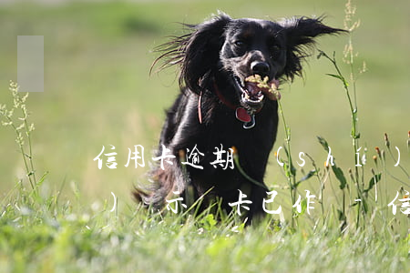 信用卡逾期時(shí)間長(zhǎng)顯示該卡已作廢-信用卡逾期時(shí)間長(zhǎng)顯示該卡已作廢什么意思