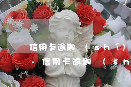 信用卡逾期時(shí)間長了可以分期嗎-信用卡逾期時(shí)間長了可以分期嗎怎么辦
