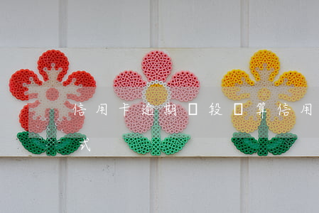 信用卡逾期時段計算(信用卡逾期時段計算公式)