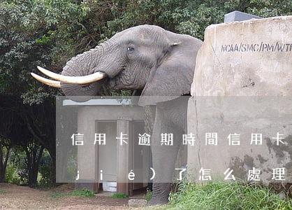 信用卡逾期時間(信用卡逾期時間長了凍結(jié)了怎么處理)