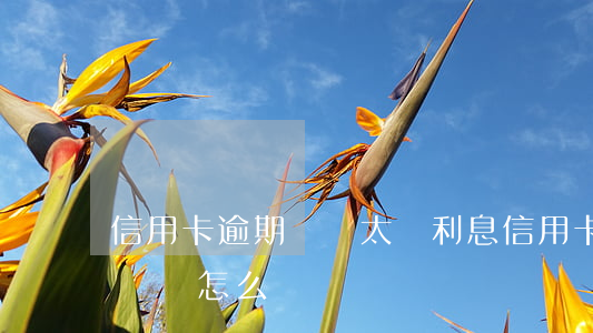 信用卡逾期時間太長利息(信用卡逾期時間太長會怎么樣)