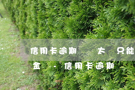 信用卡逾期時間太長只能還現(xiàn)金嗎-信用卡逾期時間太長只能還現(xiàn)金嗎怎么辦