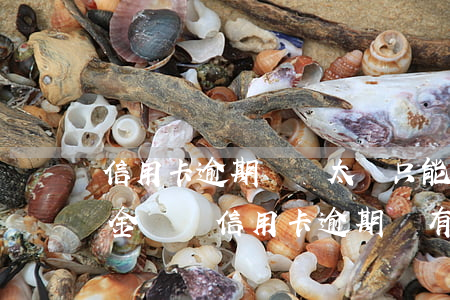 信用卡逾期時間太長只能還現(xiàn)金嗎(還信用卡逾期會有什么后果)