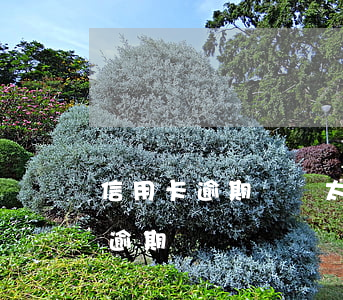 信用卡逾期時間太長還不進去(不小心信用卡逾期)