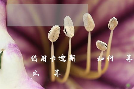 信用卡逾期時間如何計算(信用卡逾期時間怎么計算)