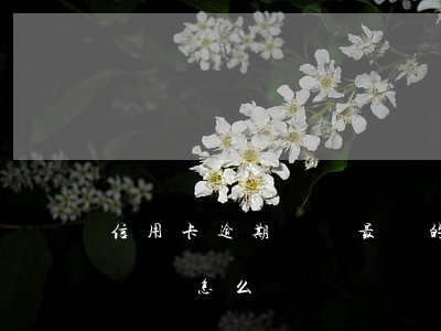 信用卡逾期時間最長的人(信用卡逾期時間太長會怎么樣)