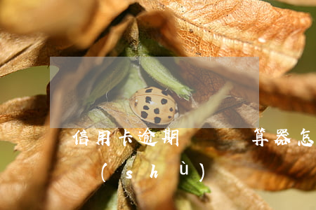 信用卡逾期時間計算器 怎么查信用卡逾期天數(shù)