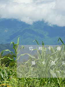 信用卡逾期時間過久注銷如何還款(過期的信用卡怎么注銷)
