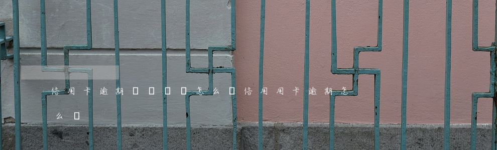 信用卡逾期時間過長怎么辦(信用用卡逾期怎么辦)