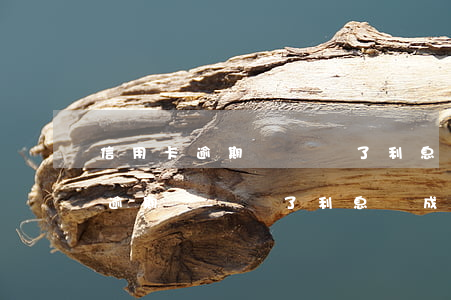 信用卡逾期時間長了利息變成本金-信用卡逾期時間長了利息變成本金怎么辦