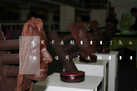 信用卡逾期時間長了怎么協(xié)商還款-信用卡逾期時間長了怎么協(xié)商還款呢