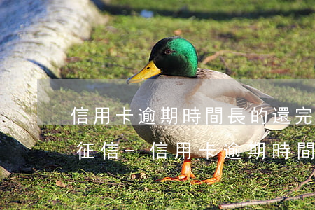信用卡逾期時間長的還完多久恢復(fù)征信-信用卡逾期時間長的還完多久恢復(fù)征信記錄