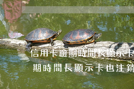 信用卡逾期時間長顯示卡也注銷-信用卡逾期時間長顯示卡也注銷了