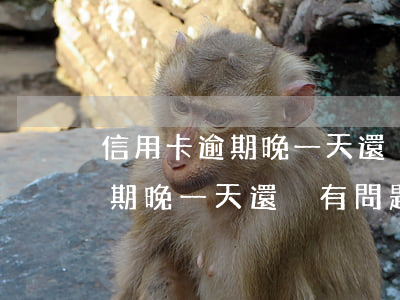 信用卡逾期晚一天還沒有問題吧-信用卡逾期晚一天還沒有問題吧怎么辦