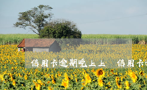 信用卡逾期晚上上門(信用卡逾期晚上上門)