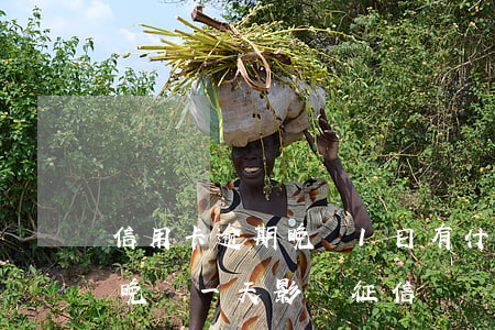 信用卡逾期晚還1日有什么影響-還信用卡晚還一天影響征信嗎