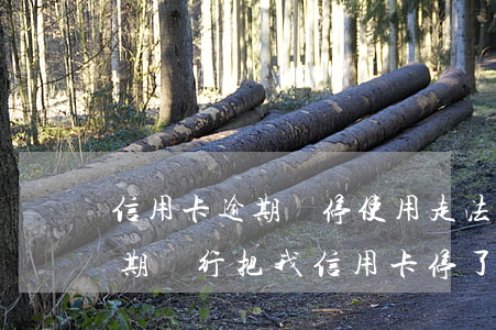 信用卡逾期暫停使用走法律(沒(méi)逾期銀行把我信用卡停了)