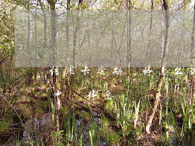 信用卡逾期暫停怎么恢復(信用卡逾期了可以申請停息嗎)