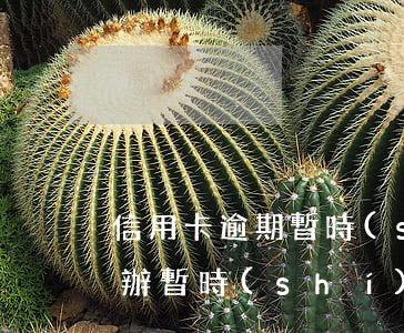 信用卡逾期暫時(shí)沒有錢還該怎么辦(暫時(shí)無法還信用卡怎么辦)