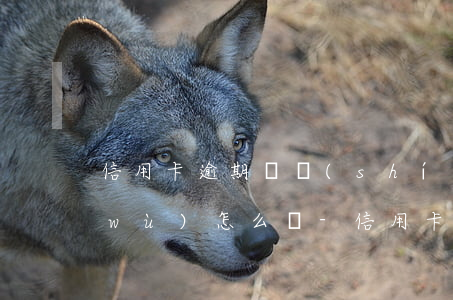 信用卡逾期暫時(shí)無力償還債務(wù)怎么辦-信用卡逾期暫時(shí)無力償還債務(wù)怎么辦理