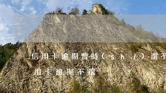 信用卡逾期暫時(shí)還不上咋辦(欠信用卡逾期不還)