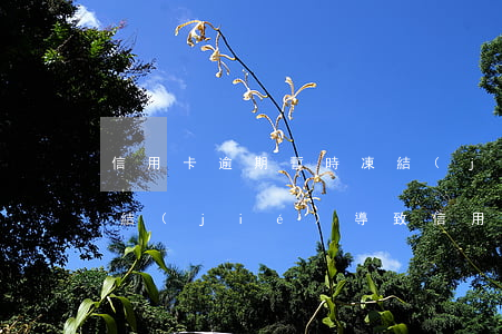 信用卡逾期暫時凍結(jié)嗎(銀行卡凍結(jié)導致信用卡逾期)