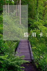 信用卡逾期暫時沒能力還怎么解決