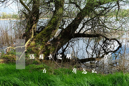 信用卡逾期暫時無力償還怎么辦(信用卡逾期無力償還有怎么辦)