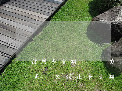 信用卡逾期暫時無力償還最壞結(jié)果-欠信用卡逾期無力償還該怎么辦