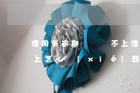 信用卡逾期暫時還不上(信用卡逾期暫時還不上怎么協(xié)商)