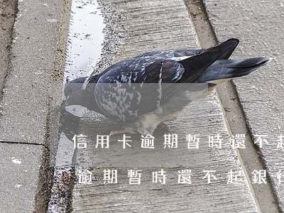 信用卡逾期暫時還不起銀行致信函-信用卡逾期暫時還不起銀行致信函怎么寫