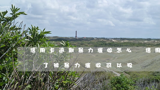 信用卡逾期暴力催收怎么辦(信用卡逾期時間長了被暴力催收可以投訴?)