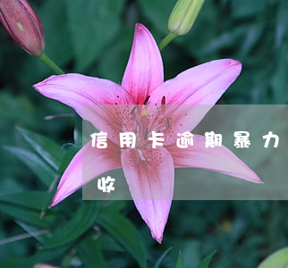 信用卡逾期暴力催收手段(銀行信用卡暴力催收)