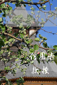 信用卡逾期暴力催款投訴(信用卡逾期暴力催款投訴哪里)
